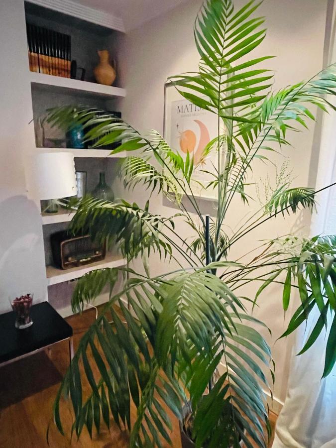 Apartmán Casa Lola León Exteriér fotografie